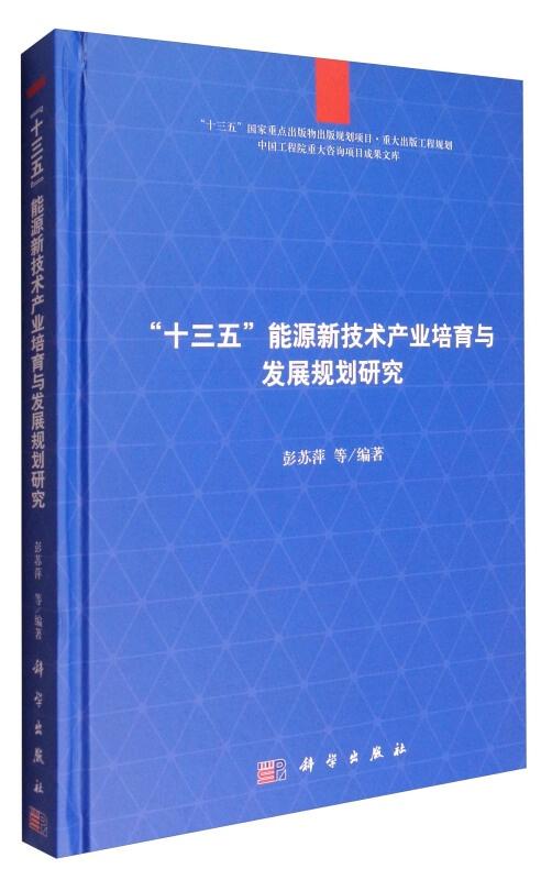 中國工程院重大咨詢項目成果文庫 十三五 能源新技術產業培育與發展規劃研究