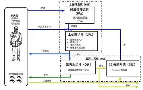 神州十二號的 污水 也能變廢為寶,神秘太空同樣需要環保