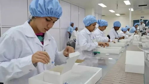 古巴在抗癌疫苗上取得新進展,有望完全減少實體瘤