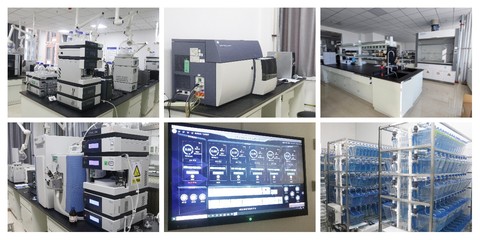 【開新局】科研提質在行動系列活動之一|轉化醫學中心整體科研平臺情況