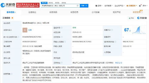贛鋒鋰業在佛山成立儲能科技公司