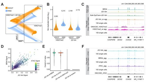 nature methods 何愛彬 舒紹坤團隊合作開發單細胞藥物基因組靶點檢測新技術解析表觀耐藥機制