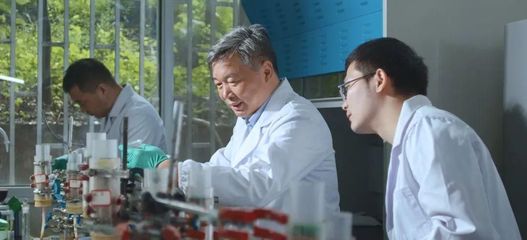 重慶研究院執(zhí)行副院長(zhǎng)劉漢龍教授獲重慶市科技突出貢獻(xiàn)獎(jiǎng)-工程科教戰(zhàn)略研究中心