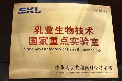 百年光明,為你如一丨迎接新年第一縷光明